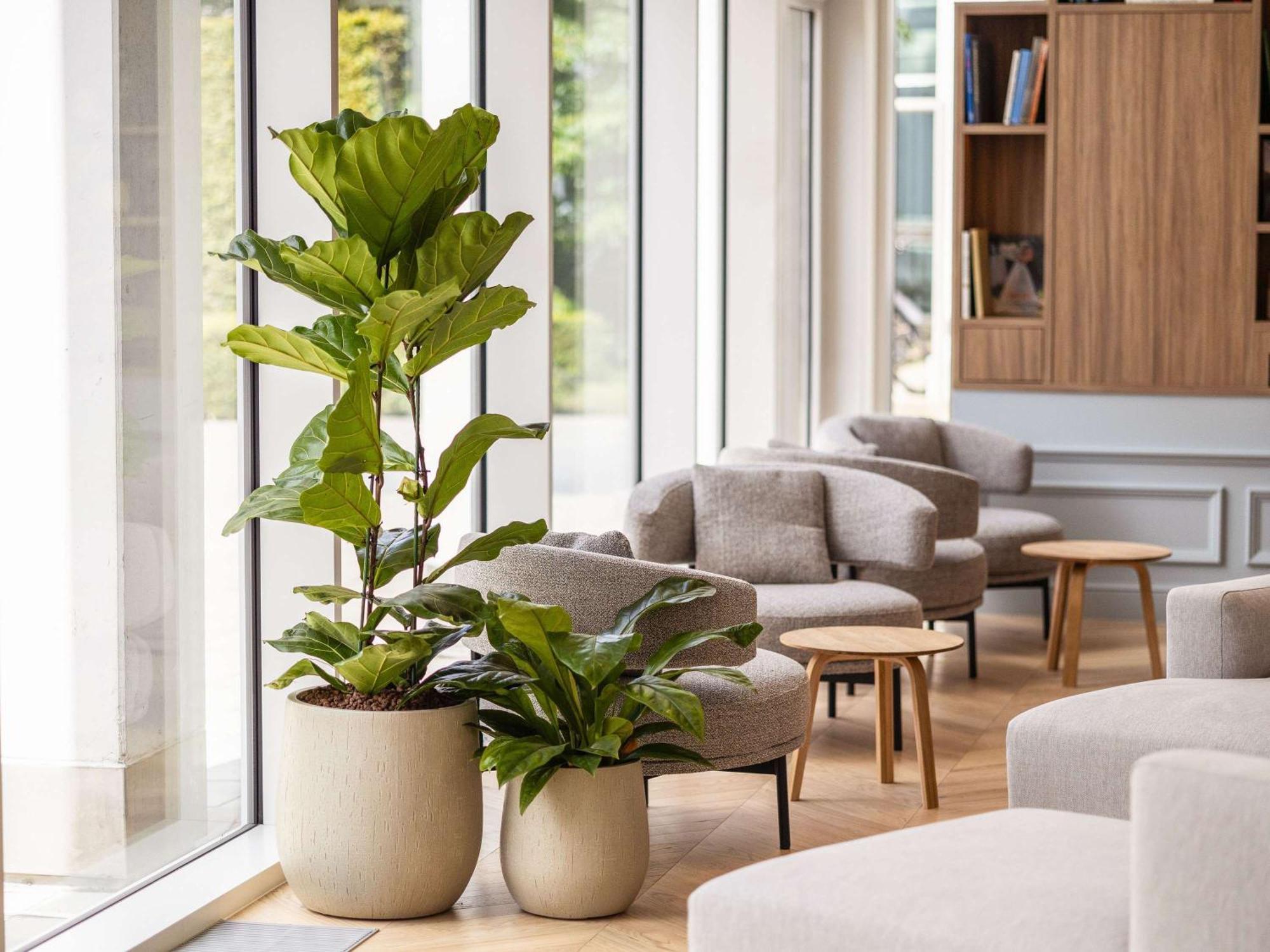 Novotel Brugge Centrum Eksteriør bilde